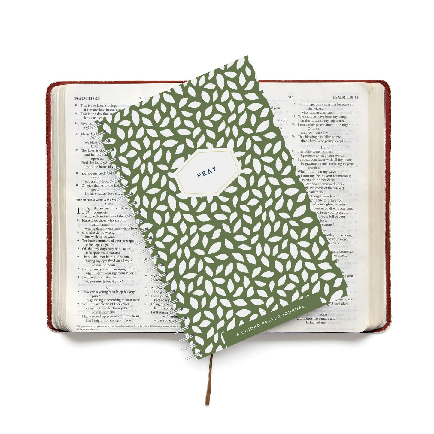 Yearly Prayer Journal, Olive Leaf