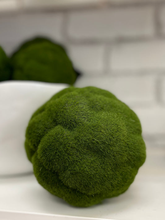 Mood Moss Orb 5.5"