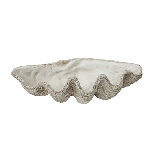 XL Oyster Shell