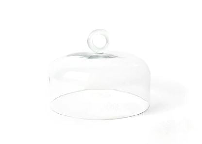 Small Ring Handle Glass Dome